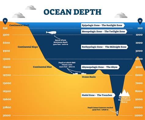 The Mariana Trench Is 7 Miles Deep Whats Down There Flipboard