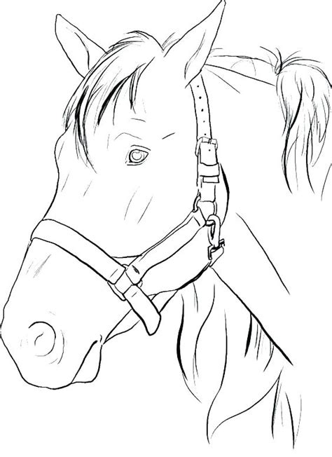 Print horse coloring pages for free and color our horse coloring! Coloring Pages Of Realistic Horses at GetDrawings | Free ...