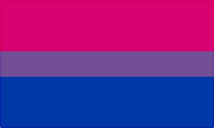The physical or romantic attraction to two genders. Bisexual Bi Pride LGBT Large Flag 5' x 3' | eBay
