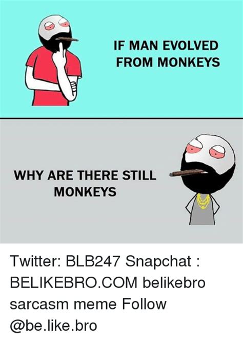 If Man Evolved From Monkeys Why Are There Still Monkeys Twitter Blb247