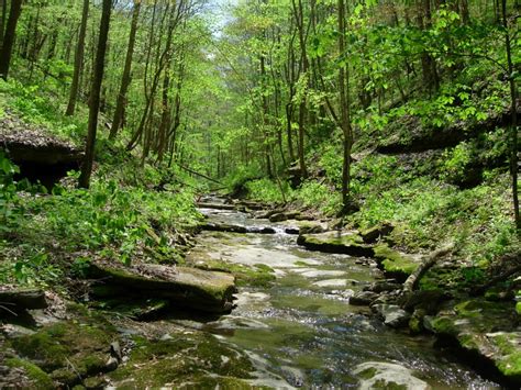 Stillhouse hollow falls state natural area. Washmorgan Hollow