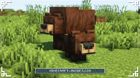 Minecraft Naturalist Mod Guide And Download Minecraft Guides Wiki