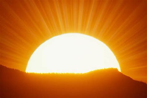 تفسير حلم بزر دوار الشمس للعزباء