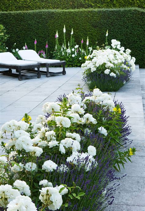 Non hai trovato la risposta giusta? 27 idee di aiuola bellissime e creative da provare - HOME ...