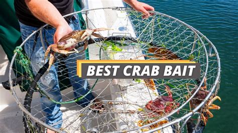 Best Crab Baitsave Up To 16