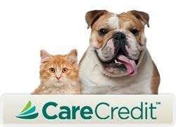 Earn up to 45,000 bonus points, enough for up to 6 free nights! Animal's Best Choice Veterinary Hospital - Veterinarian In ...