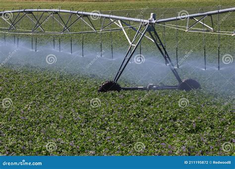 Center Pivot Sprinkler Spray Irrigation Stock Photo Image Of Water