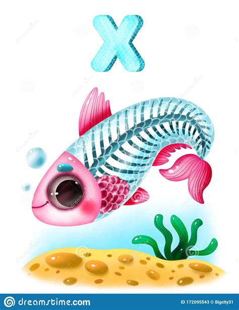 Animal Alphabet For The Kids X For The X Ray Fish Cartoon