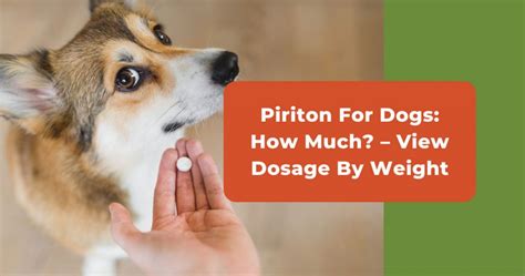 Piriton For Dogs How Much View Dosage By Weight
