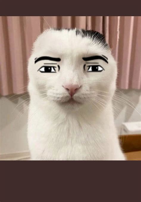 Roblox Man Face Cat