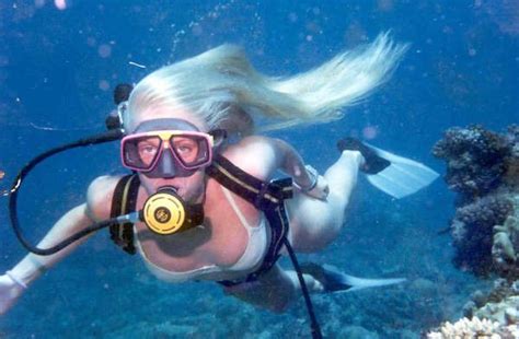081 With Images Scuba Diver Girls Scuba Girl Wetsuit Underwater Fun
