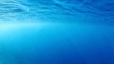 Underwater Gifs