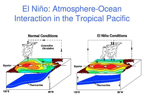 Ppt Modes Of Pacific Climate Variability Enso And The Pdo Powerpoint