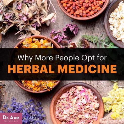 Herbal Medicine The Top 10 Herbal Medicine Herbs Dr Axe