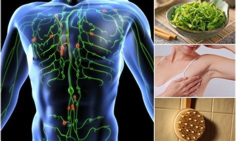 Simple Ways To Detox Your Lymph System Detox Lymphatic System
