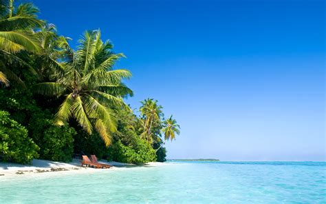 Wallpaper Maldive Palm Trees Beach Chair Sea Tropical