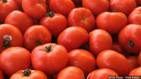 Us Moves Toward Agreement On Mexican Tomatoes