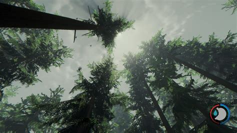 Steam Community Guide The Forest Map And Infos