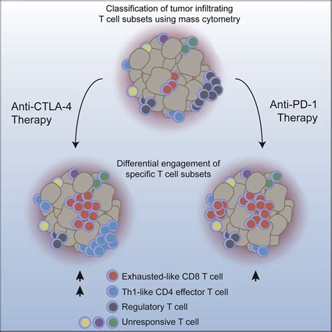 Distinct Cellular Mechanisms Underlie Anti CTLA And Anti PD