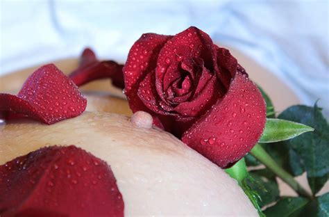 Fotoğraf çiçek taçyaprağı ıslak gül Gıda kırmızı üretmek pembe