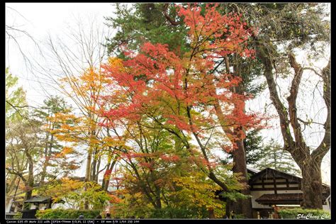 快醒醒，英雄。 距游戏首次公布的八年后， 《赛博朋克2077》终于正式和大家见面了。 进入夜之城的钥匙现在就握在你的手中。 是时候偷一波装备，寻一些刺激或是来一两场超梦体验了! 特愛日本 瘋旅行: 2017 東北．北海道 景點 角館武家屋敷通．西宮家、青柳家 (秋田紅葉名所)