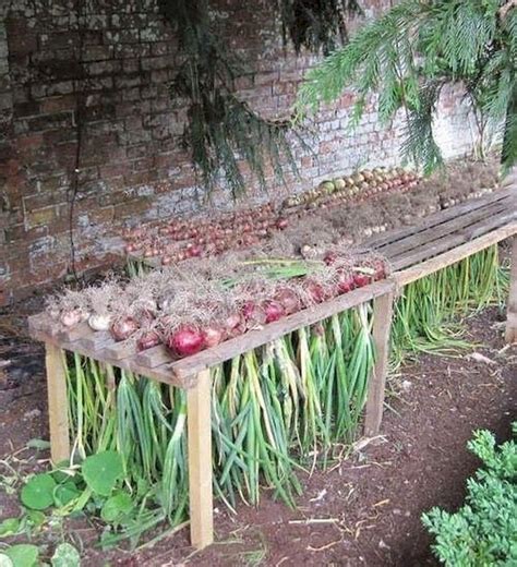 26 Creative Vegetable Garden Ideas And Decorations 21 Growing