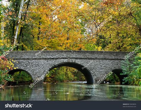 Stone Bridge Over River Autumn Park Stock Photo 55839835 Shutterstock