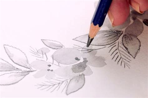 Painting Watercolour Graphite Pencils The Online Course STAEDTLER