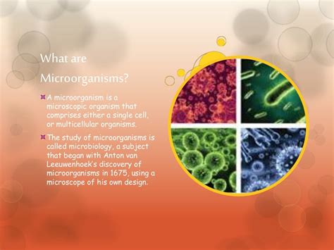 Microorganisms Ppt Presentation By Piyush Mohite