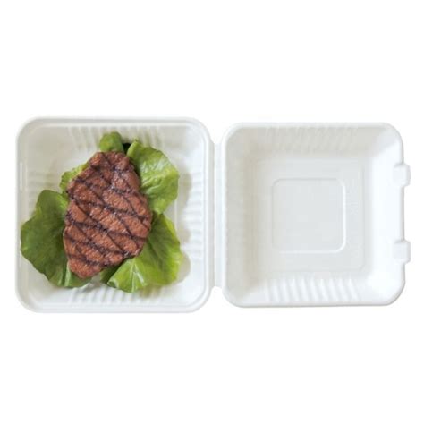 Wholesale Take Out Tableware Biodegradable Disposable Food Packing