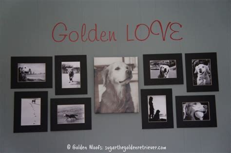 Wise Decor Spruced Up Black N White Dog Photo Wall Golden Woofs