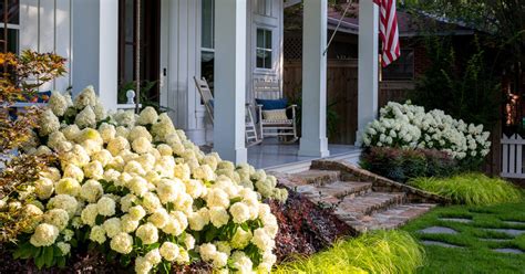 Put plants in their pots inside the box or trough. This Summer, Take It Easy with White Wedding Hydrangea in ...