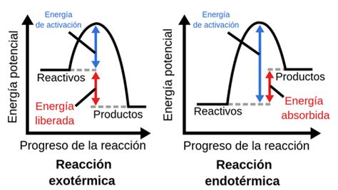 Reacciones Exotérmicas Y Endotérmicas Labster