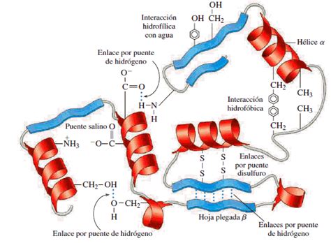 Proteínas