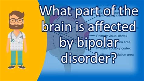What Part Of The Brain Is Affected By Bipolar Disorder Top Answers
