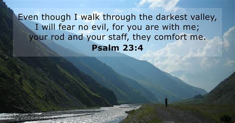 Psalm 23 4 Bible Verse