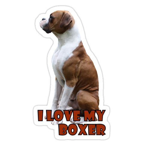 I Love My Boxer Sticker Stickers By Vanessa Barklay Redbubble