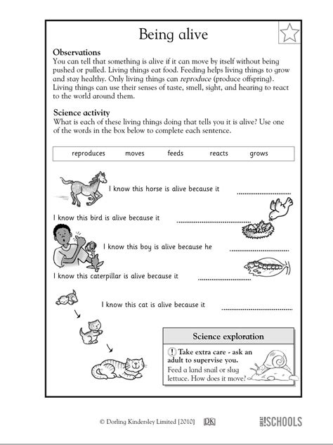 Free Printable Science Worksheets For 2nd Grade Free Printable 2nd