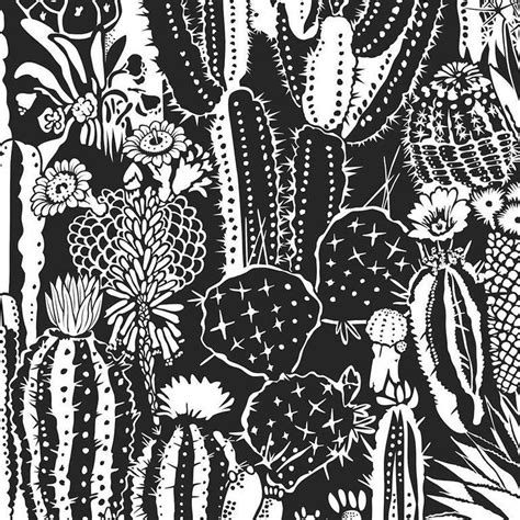 Albums 99 Pictures Cactus Wallpaper Black And White Excellent