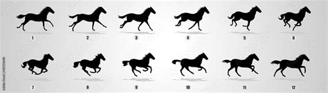 Horse Run Cycle Animation Sprites Sprites Sheets Animation Frames