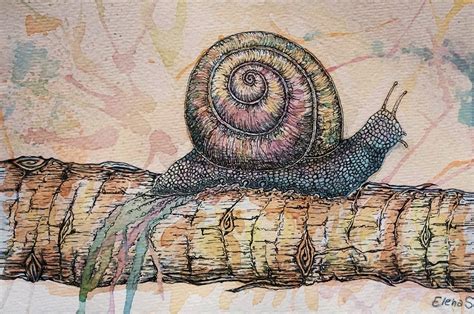 Psychedelic Snail Behance