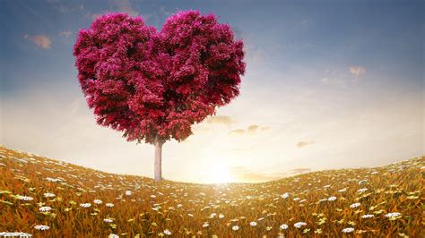 2048x1152 Love Heart Tree 2048x1152 Resolution Hd 4k Wallpapers Images