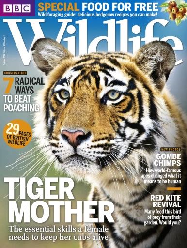 Bbc Wildlife Magazine Oct 14 Back Issue