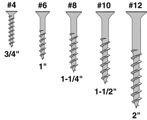 A Guide To Wood Screw Sizes