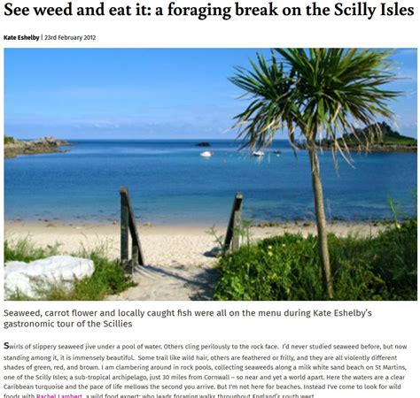 See Weed And Eat It A Foraging Break On The Scilly Isles Wild Walks