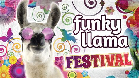 Funky Llama Festival Theatre Royal Plymouth