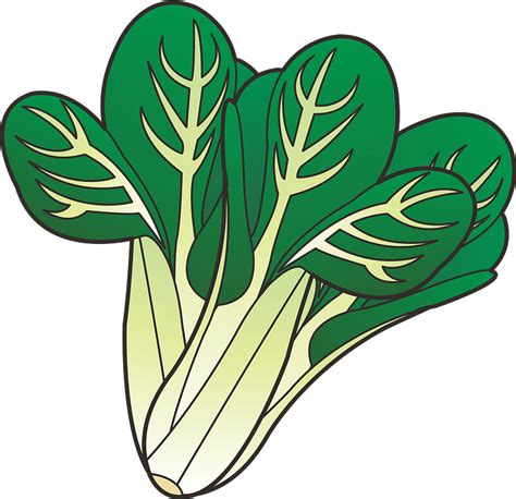 Green Leafy Vegetables Clipart