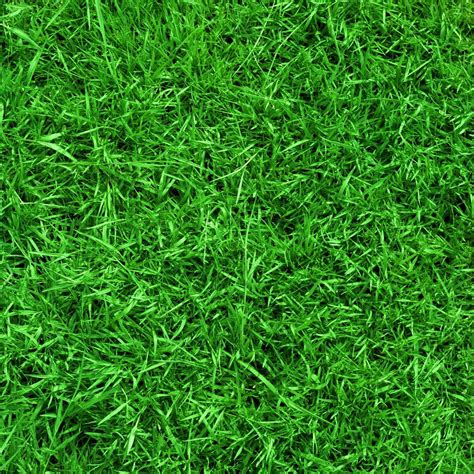 Lawn Wallpapers Top Free Lawn Backgrounds Wallpaperaccess