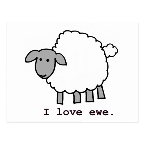 I Love Ewe Sheep Postcard