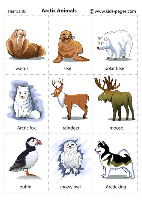 Arctic Animals Free Printables